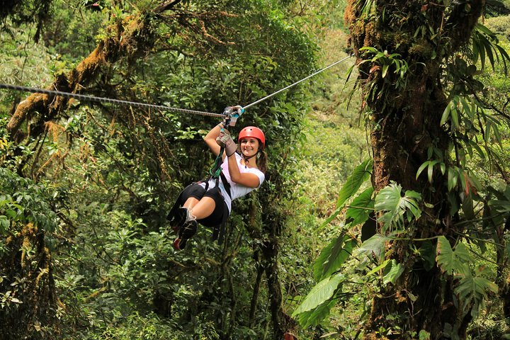 Selvatura Park Combo Tour From Monteverde - Photo 1 of 12